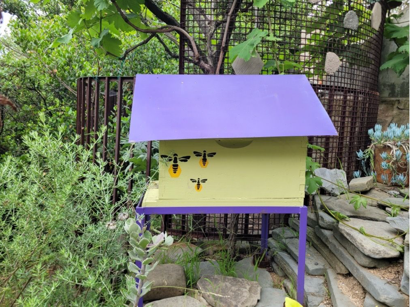 A customer-owned backyard beehive
