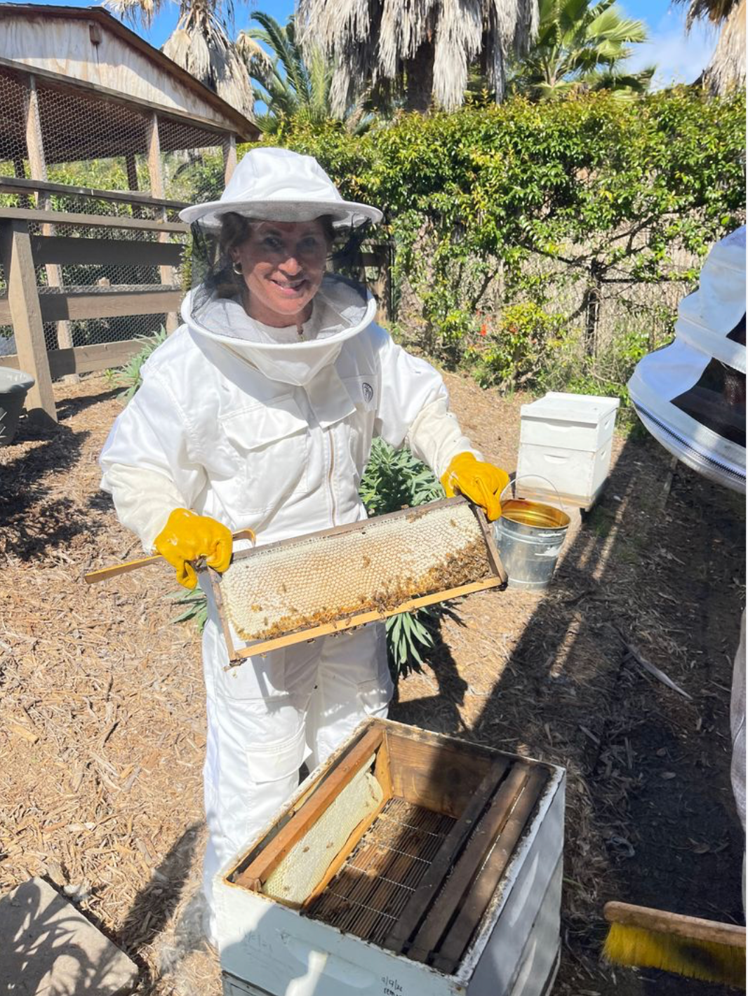 Our first customer learning to inspect a honeycomb frame
