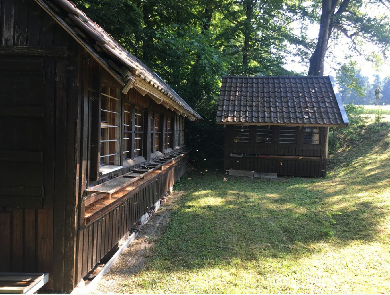 Traditional wooden bee houses in Germany
