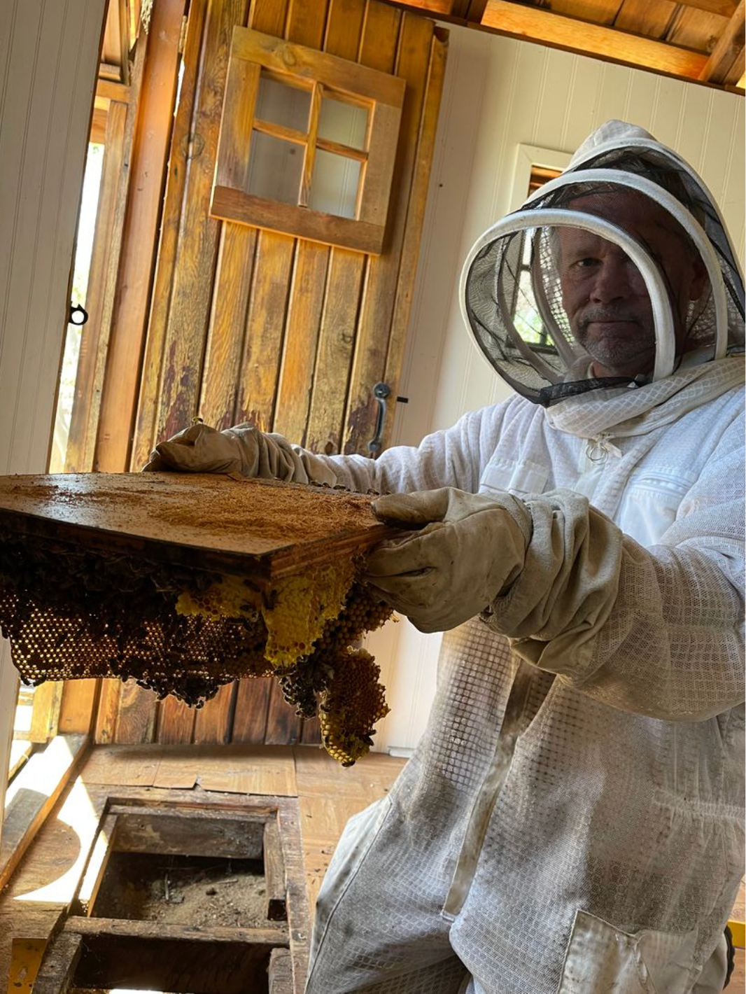 Beekeeper carefully handling comb during removal